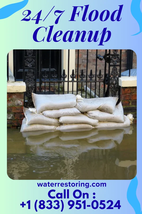 24/7 Flood Cleanup in Cooter, MO