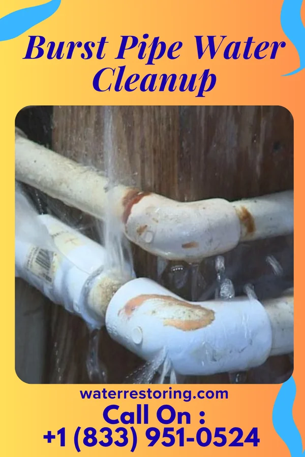 Burst Pipe Water Cleanup in Cooter, MO