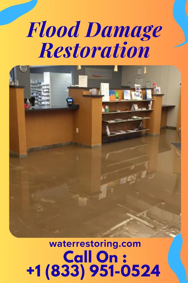 Flood Damage Restoration in Cooter, MO